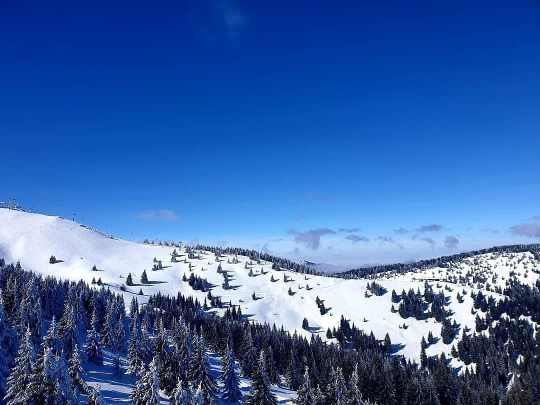 Kopaonik